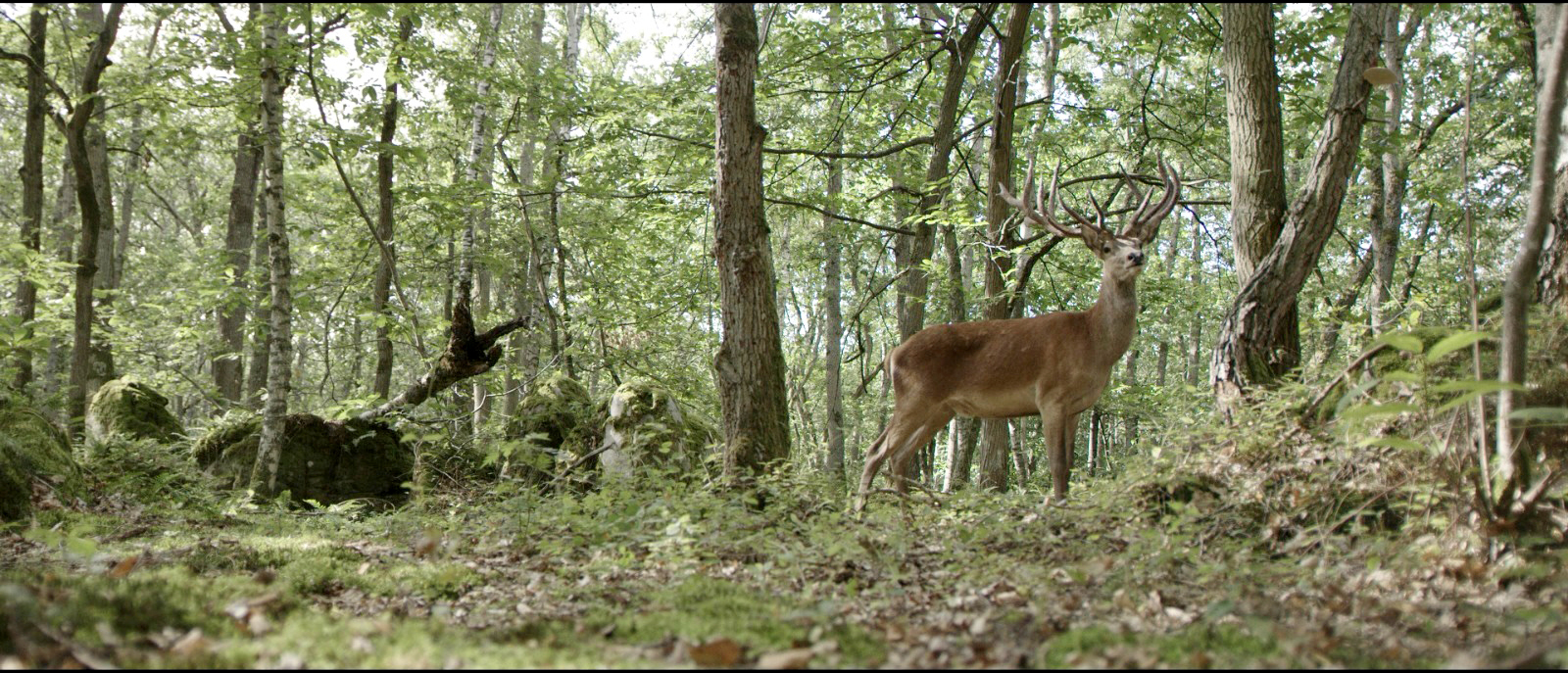 PHOTO 2021-08-16-22-55-43%203.jpeg