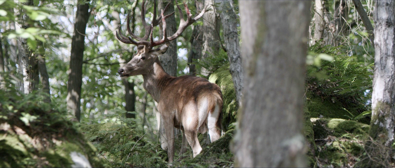 PHOTO 2021-08-16-22-55-43%205.jpeg